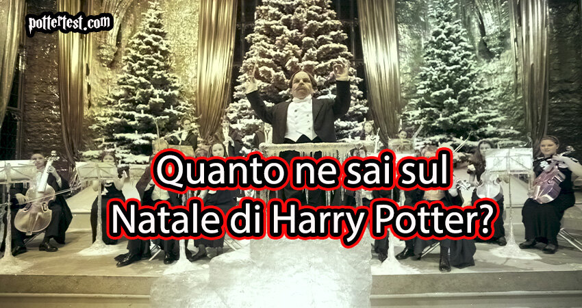 Quanto ne sai sul Natale di Harry Potter